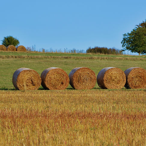 Hay Barrels_edited.jpg