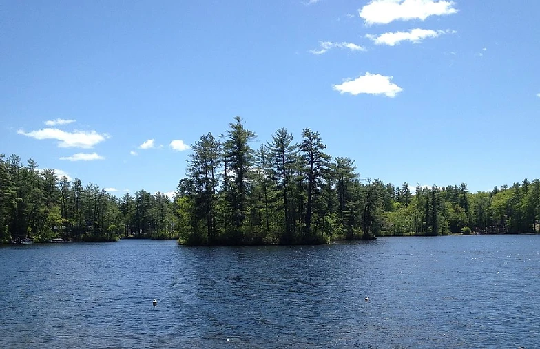 Maine Vacation Rentals Pet Friendly Balch Lake Cottage