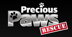 precious_paws-logo-opt.gif