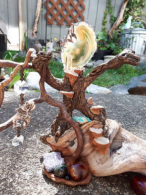 agate head sentinel and its fungi friends