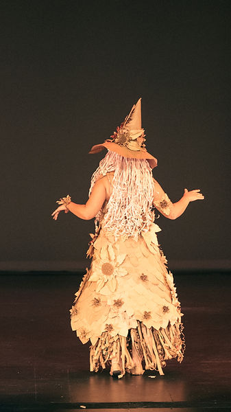 a back shot taken from the crowd during the performance