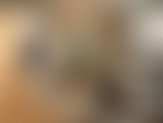 philadelphia apartment guest policies