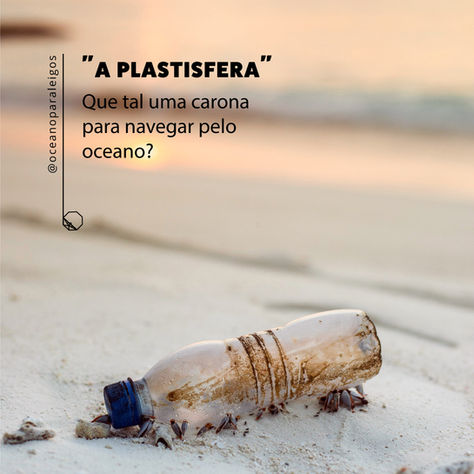 Plástico como meio de transporte no oceano