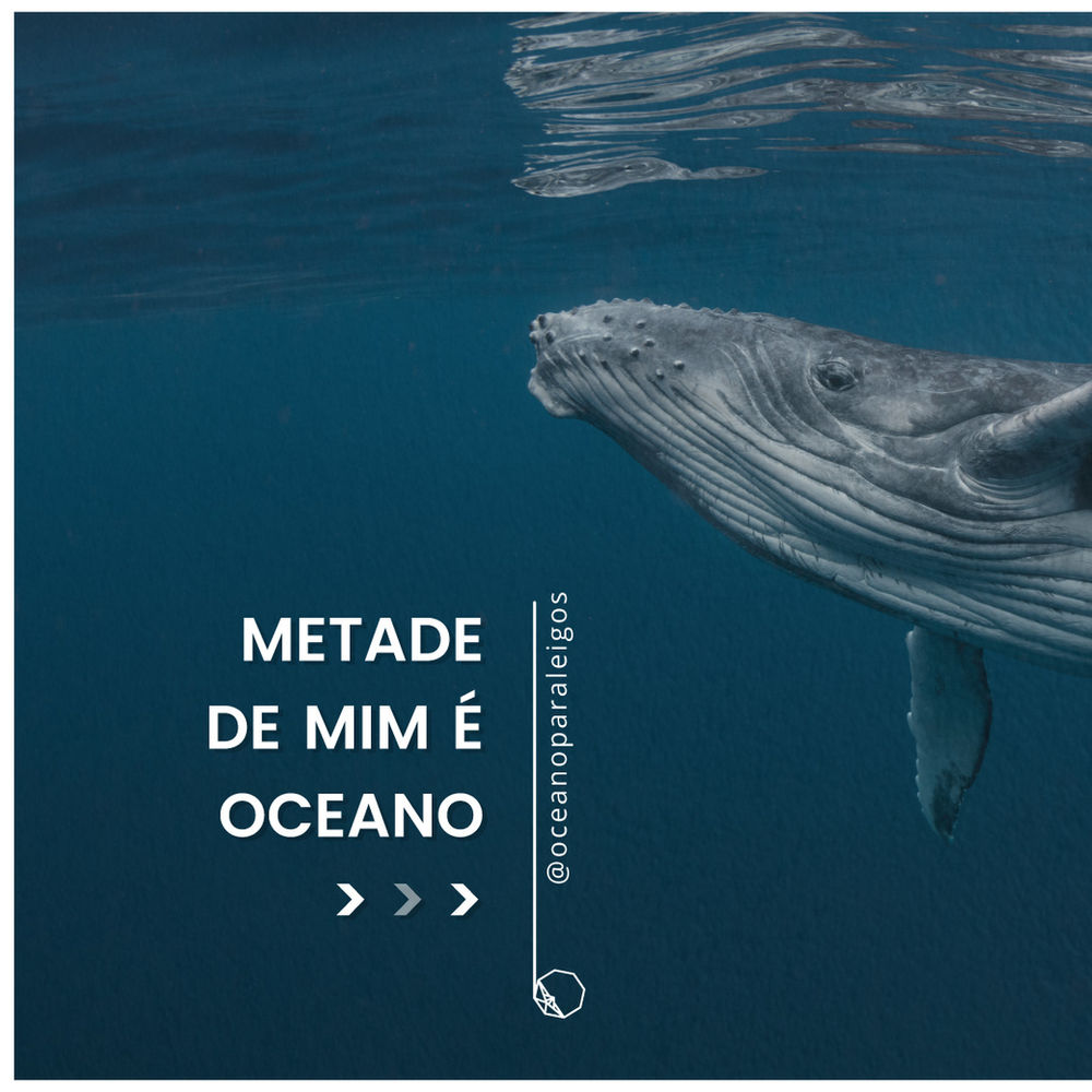 Quantos Por Cento Do Oceano Já Foi Explorado