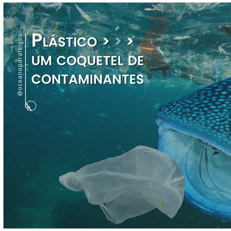 Plástico: um coquetel de contaminantes