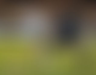 City draw Real Madrid