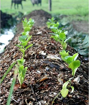 WhatsApp Image 2025-10-15 à 11.00.34_48138f98.jpg