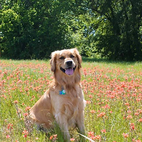 93374314_1894836987489745_10113893313376