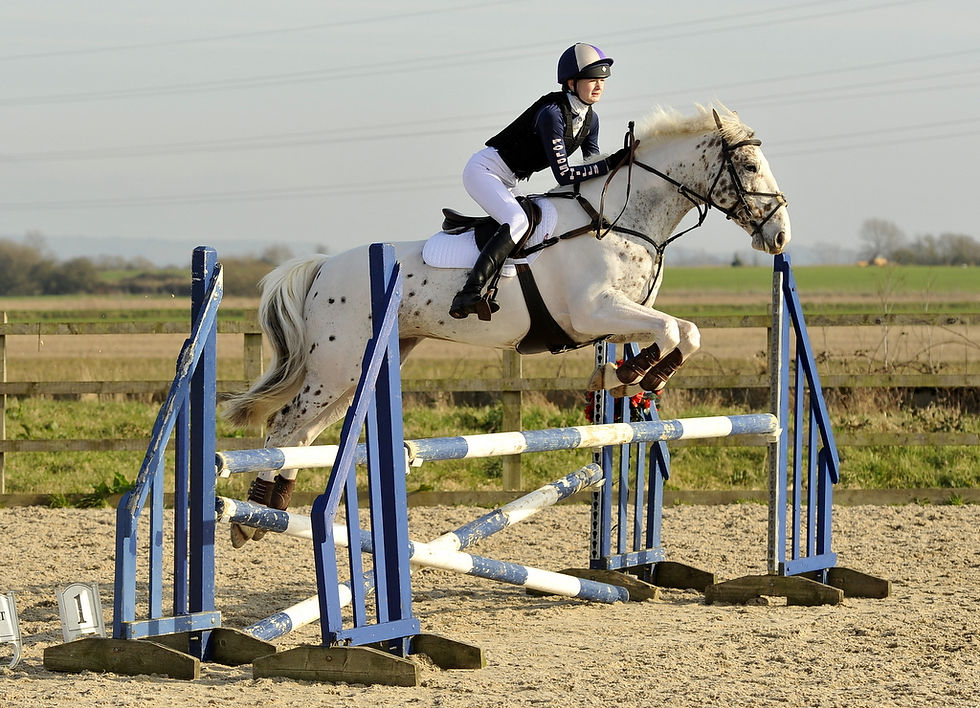 Polden Hills PC Eventers Challenge