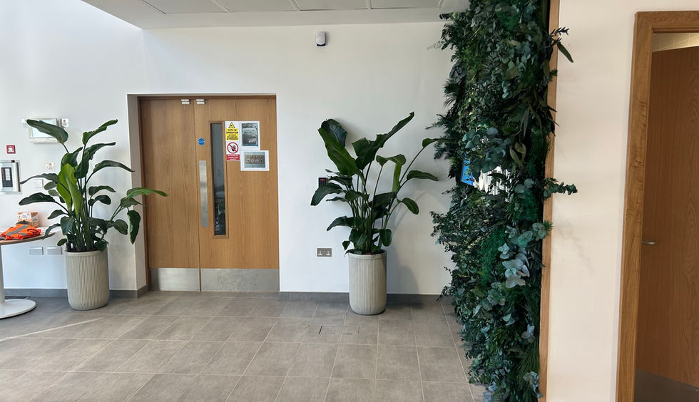preserved living wall in receptions