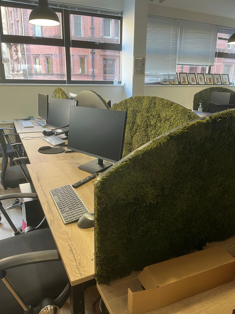 sound absorbing office boards