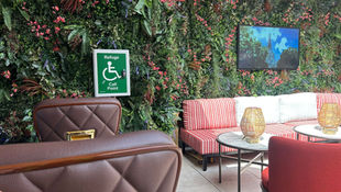 outdoor faux living wall