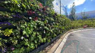 exterior living wall