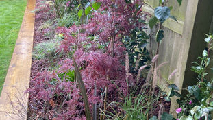 landscape design nottingham