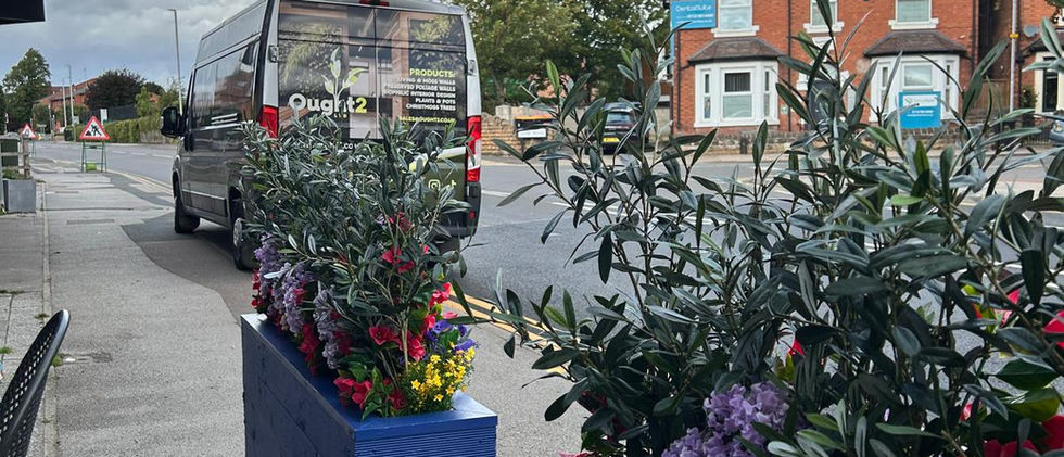 fake pub trough planting