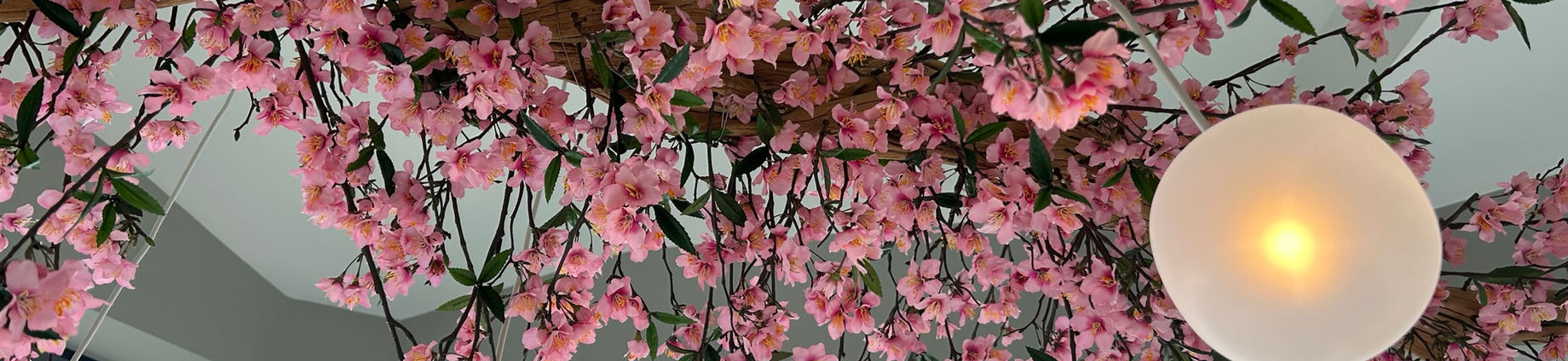 preserved living wall