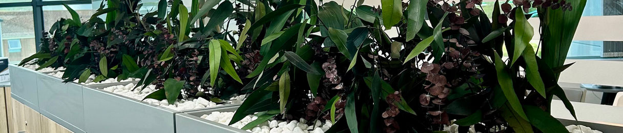 preserved planting cabinet top troughs