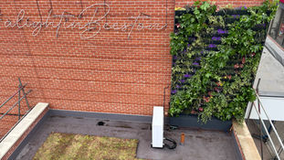 living wall and sedum roof