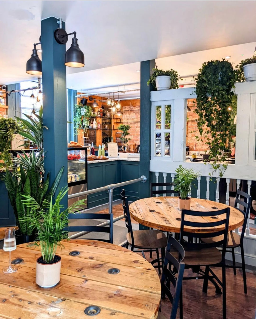 plants for your cafe