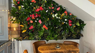 Living wall in a bar