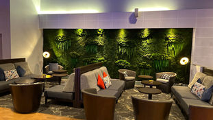 preserved moss and foliage wall london
