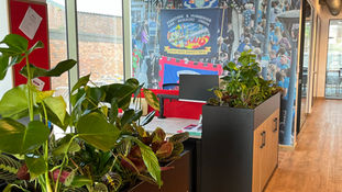 office plants nottingham