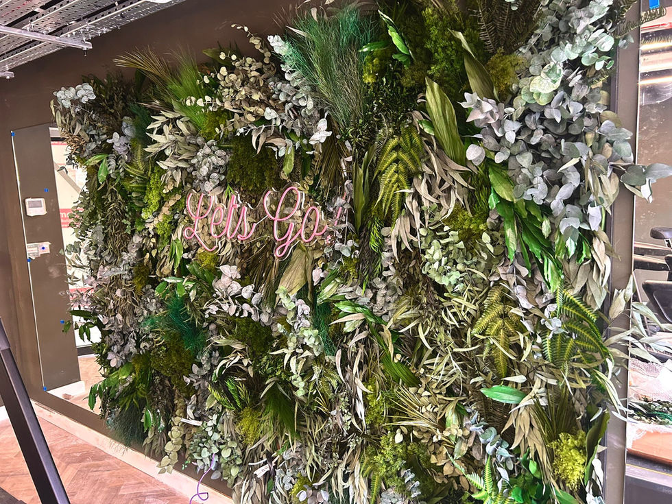 Preserved foliage wall, green wall, student accomodation reception wall.