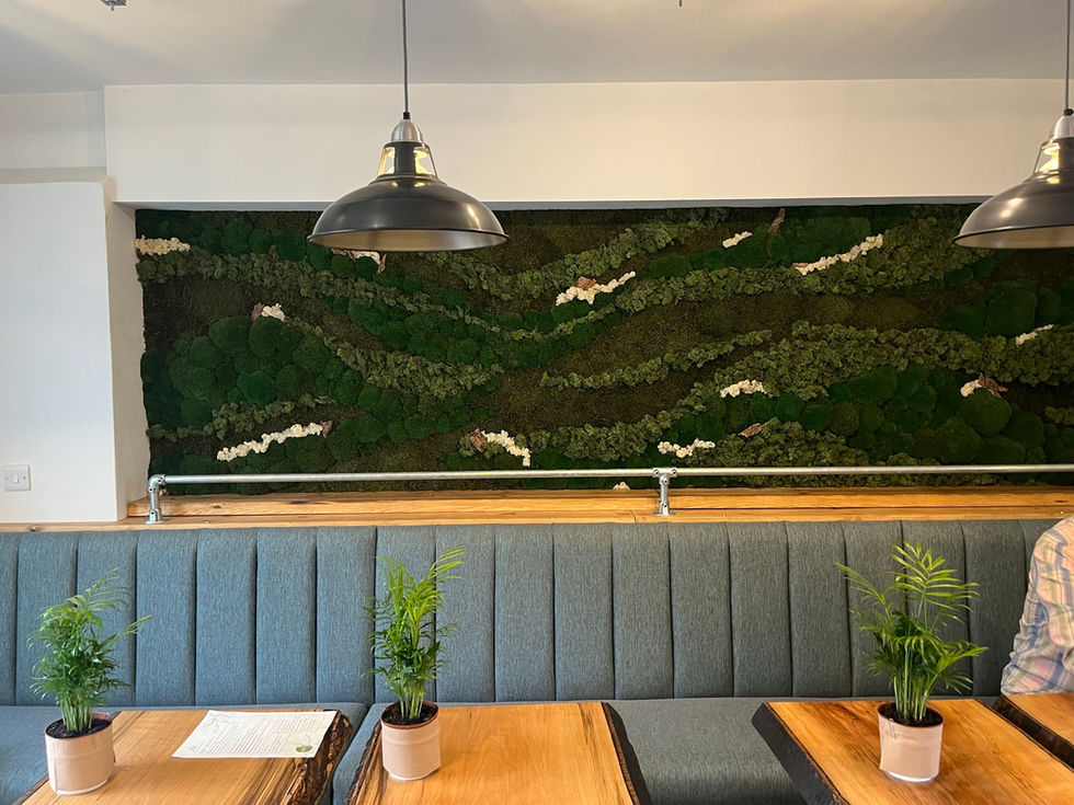 designed moss wall nottingham