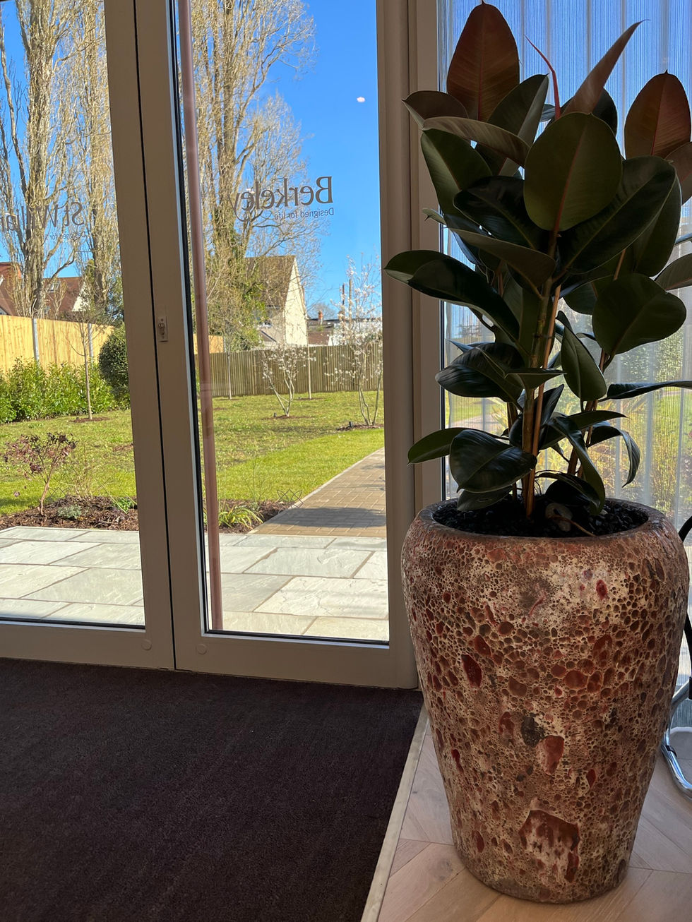 unique plant pot 