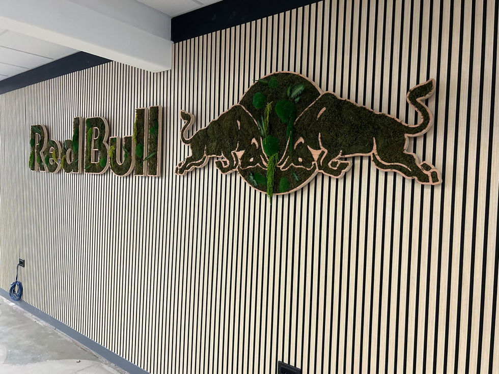 Red Bull logo