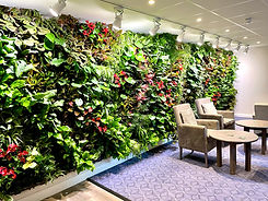 Living wall