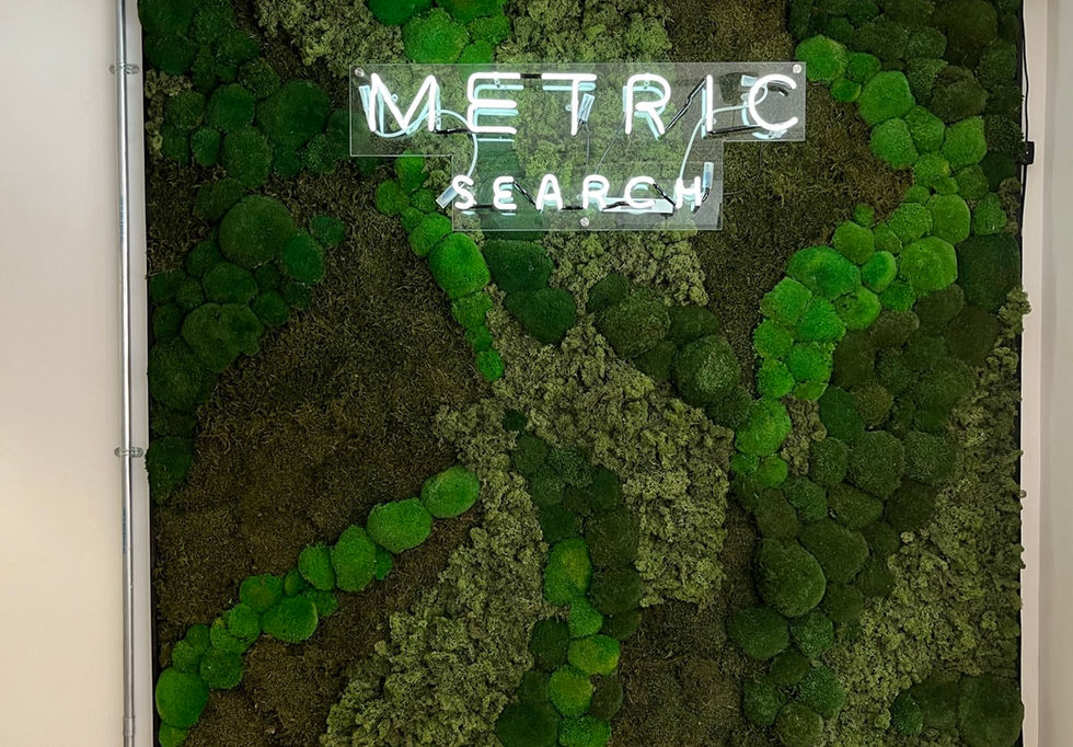 sound absorbing wall 