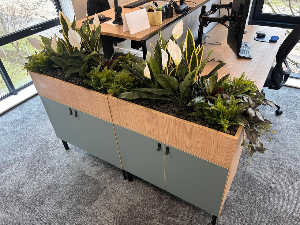 replica cabinet top trough planting