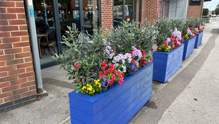UV protected pub planting