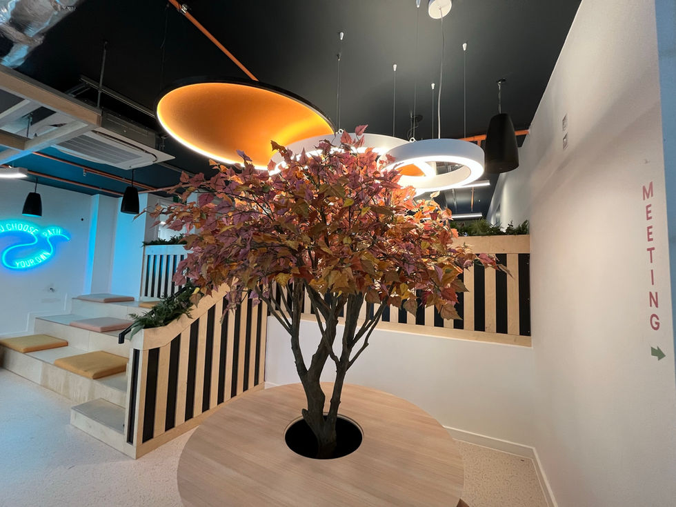 plants in student accommodation