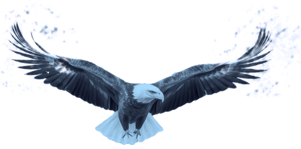 wings of an eagle_edited_edited_edited_edited_edited.png
