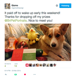 Twitter engagement