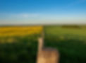 2021.07.19 Fenceline - Tracy Hudson.jpg