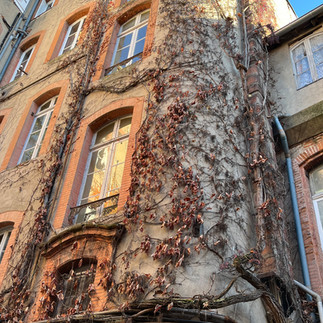 Sehr schöne runde Fassade in diesem Innenhof dieses schönen Herrenhaus in Toulouse.