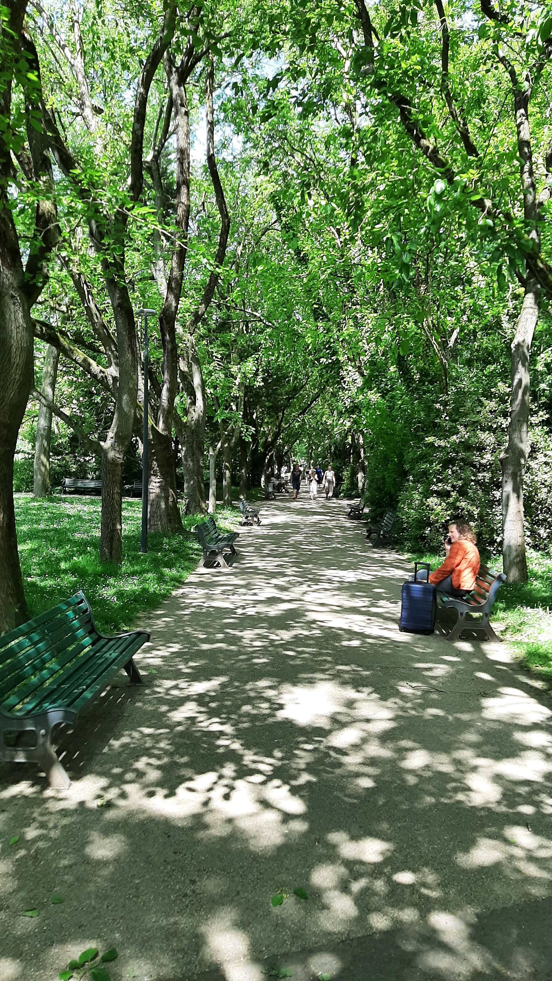 Allée arborée de ce très beau jardin de Toulouse. 