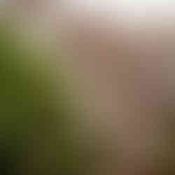 Kleiner Turm in diesem Herrenhaus im Zentrum von Toulouse.