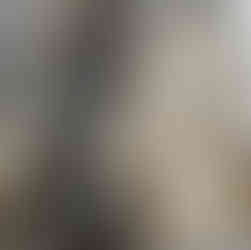 Magnífico trabajo de estuco y órgano de coro en esta espléndida iglesia barroca de Toulouse.