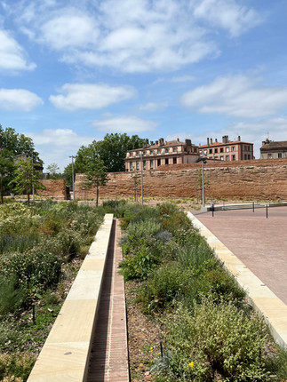 Ancien mur datant de la construction des quais de Toulouse, datant du XVIII ème siècle!.