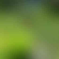 Jarra con caccada en el Jardin des Martels , cerca de Toulouse.