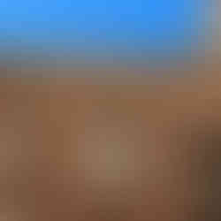 Wunderschöne Fassade im Innenhof dieses Herrenhaus in Toulouse.