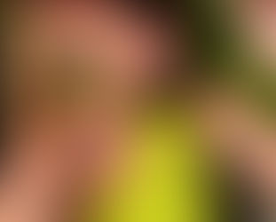 Die Handgefertigten Keramiksschmuckstücke von Myriam.