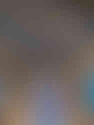 Vers beautiful painted ceiling in this beautiful church in Toulouse.