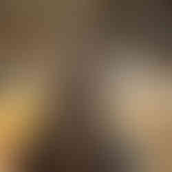 Beautiful painted column in this church in Toulouse.