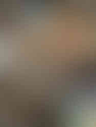 Magnificent fresco in the " Taur " church in Toulouse.