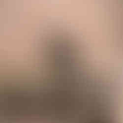 Pequeño medallón esculpido en la fachada de este hermoso mansión de Toulouse.